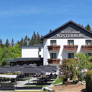 Hotel Winterberg Resort